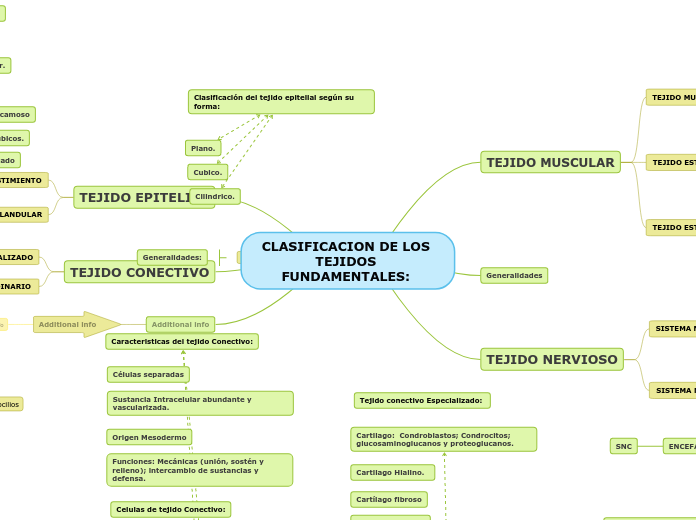 CLASIFICACION DE LOS TEJIDOS FUNDAMENTALES Mind Map